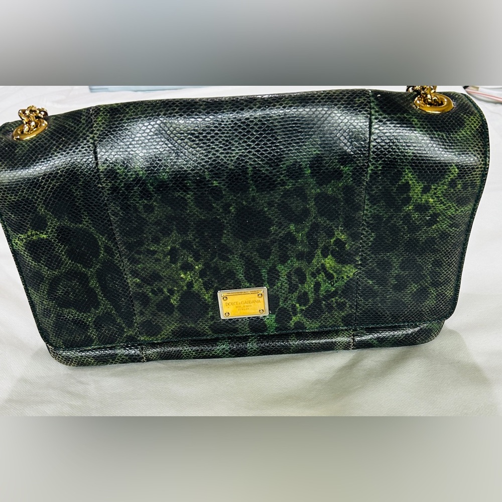 Dolce & Gabbana
Model Name: Pochette Karung Leo
Color Verdone - Picture 11 of 12
